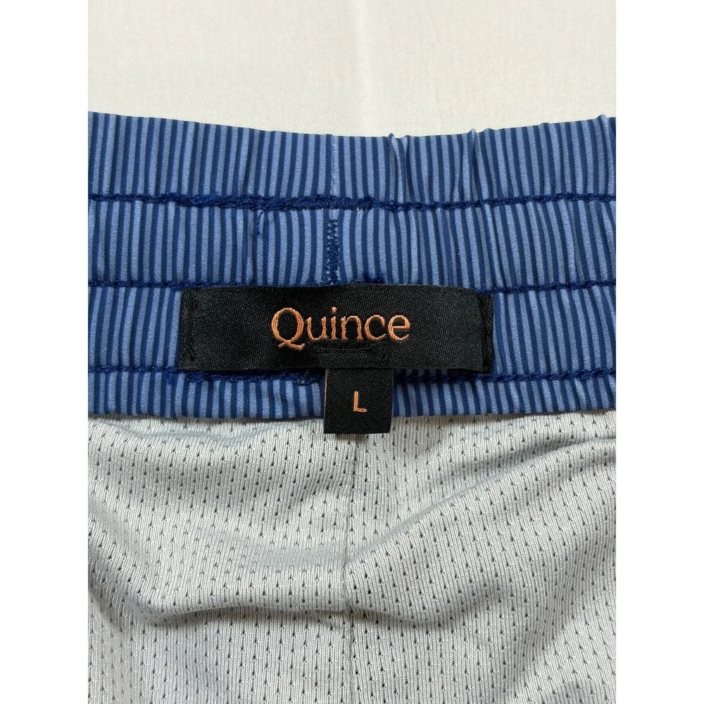 Quince Mens Blue Pinstripe Swim Shorts Trunks Mesh Lining Size L Quick Dry